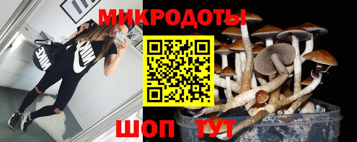 Саров  Псилоцибиновые грибы GOLDEN TEACHER  Вход с VPN 